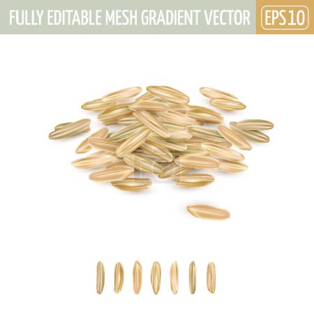 Illustration for Small pile of long grain brown rice, vector illustration simple design - Royalty Free Image
