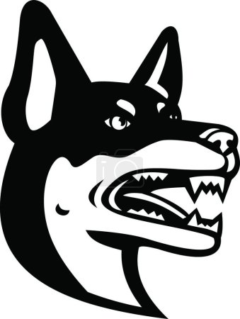 Illustration for Head of Australian Kelpie Barb or Farmer Dog Mascot Black and White - Royalty Free Image