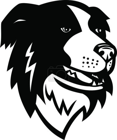 Ilustración de Cabeza de Border Collie o perro pastor escocés Mascota Blanco y Negro - Imagen libre de derechos