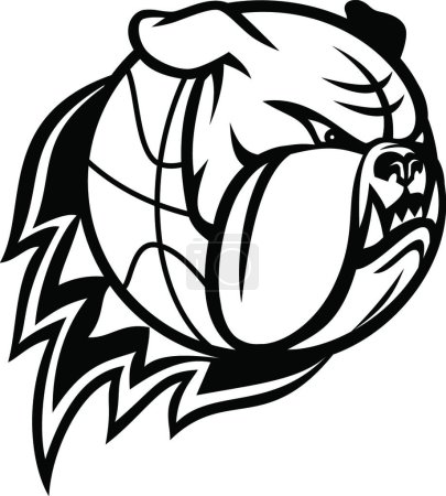 Illustration for "Head of English Bulldog or British Bulldog Basketball Ball on Fire Blazing Mascot Black and White" - Royalty Free Image