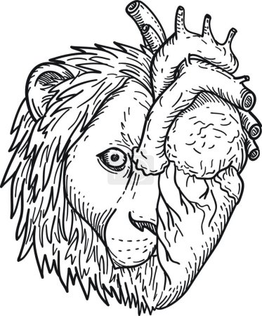 Illustration for "Lion-Hearted Head of Half Lion and Half Human Heart Black and White Drawing " - Royalty Free Image
