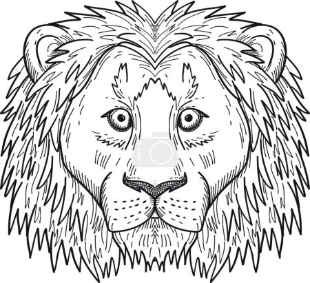 Téléchargez les illustrations : "Tête d'un lion lâche et effrayé Vue de face Dessin noir et blanc" - en licence libre de droit