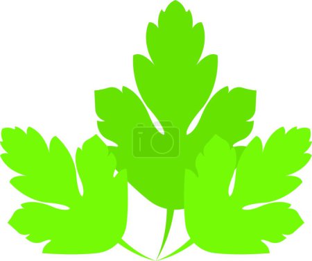 Téléchargez les illustrations : "icône de feuilles de persil, illustration vectorielle - en licence libre de droit