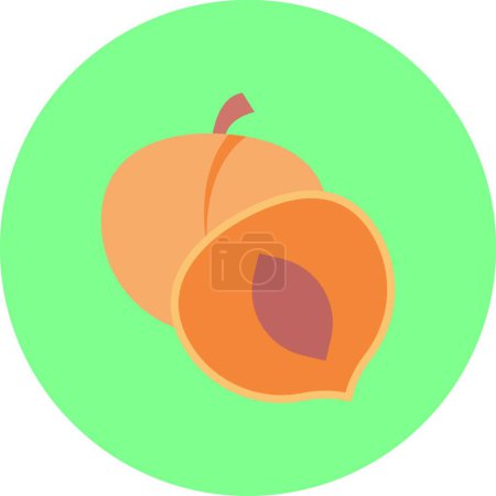 Illustration for Fruit icon, vector illustration - Royalty Free Image