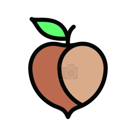 Téléchargez les illustrations : "abricot "icône, illustration vectorielle - en licence libre de droit
