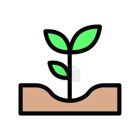 Illustration for Growing plant icon vector illustration - Royalty Free Image