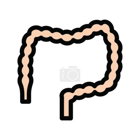 Ilustración de Icono de los intestinos, ilustración vectorial - Imagen libre de derechos