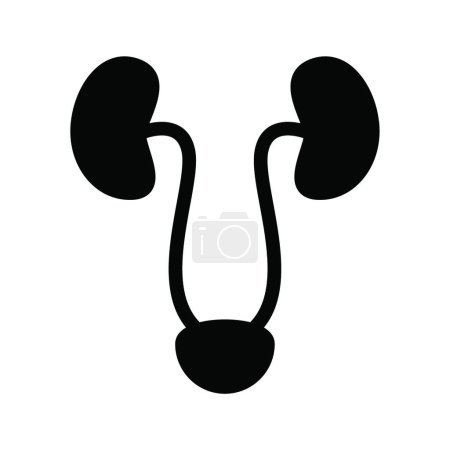 Illustration for "ureters " icon vector illustration - Royalty Free Image