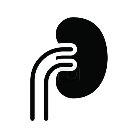 Illustration for Urology icon vector illustration - Royalty Free Image