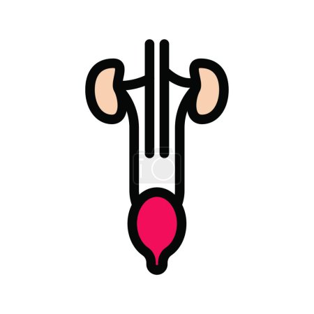 Illustration for Reproductive icon vector illustration - Royalty Free Image