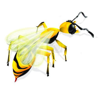 Illustration for Wasp over white, vector illustration - Royalty Free Image