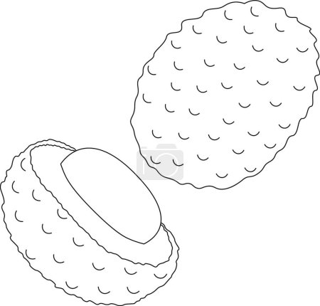 Illustration for "Whole and half lychees in black and white" - Royalty Free Image