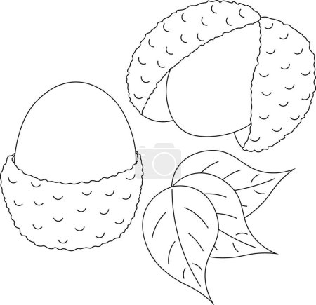 Ilustración de Lichis y hojas en blanco y negro - Imagen libre de derechos
