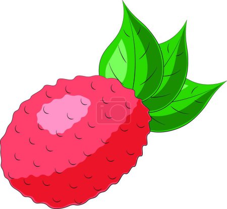 Ilustración de "Lichi de una sola fruta dibujado y hoja en color" - Imagen libre de derechos