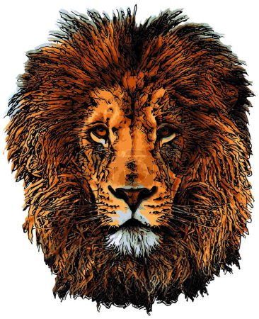 Ilustración de "icono de cabeza de león, ilustración vectorial gráfica" - Imagen libre de derechos