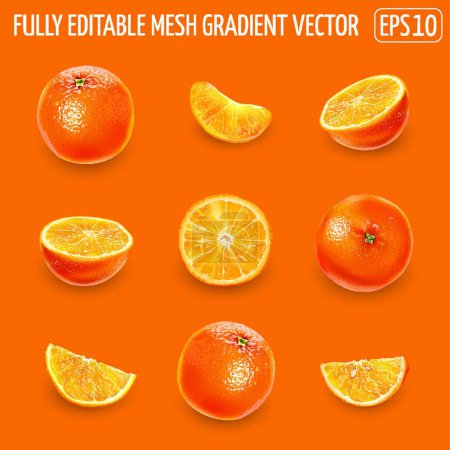 Illustration for "Set of ripe oranges on an orange background." - Royalty Free Image