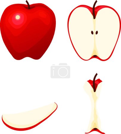 Téléchargez les illustrations : Pommes entières et demi-mangées, tranchées - en licence libre de droit