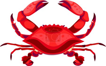 Illustration for Red Crab, simple vector illustration - Royalty Free Image