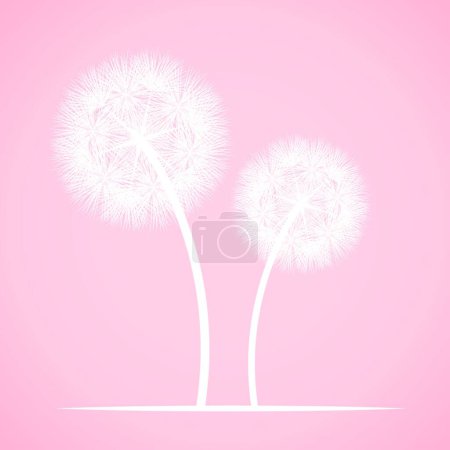 Illustration for Dandelions flowers vector illustration - Royalty Free Image