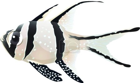 Téléchargez les photos : "Illustration vectorielle icône de poisson cardinalice Banggai - en image libre de droit