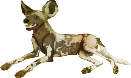 Illustration for African wild dog vector illustration - Royalty Free Image