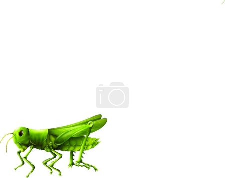 Illustration for Grasshopper animal vector illustration - Royalty Free Image