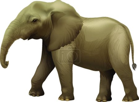 Illustration for African elephant, graphic vector illustration - Royalty Free Image
