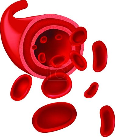 Illustration for Red blood cells, graphic vector illustration - Royalty Free Image