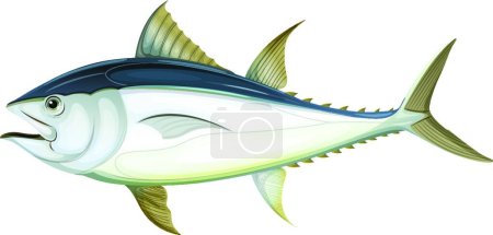 Ilustración de Ilustración del atún rojo del Atlántico - Imagen libre de derechos