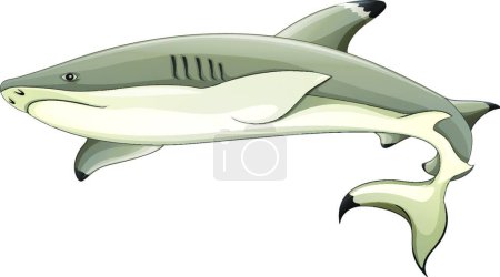 Ilustración de Ilustración del tiburón punta negra - Imagen libre de derechos