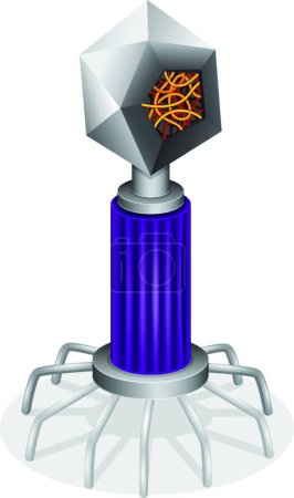 Illustration for Illustration of the Virus - Royalty Free Image