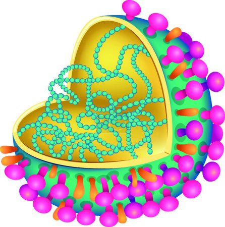 Téléchargez les illustrations : Illustration du virus de la grippe - en licence libre de droit