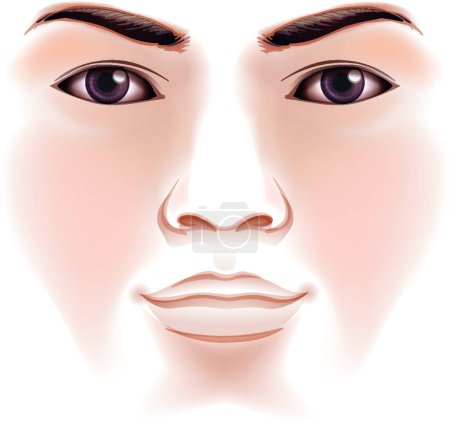 Ilustración de Ilustración del rostro humano - Imagen libre de derechos
