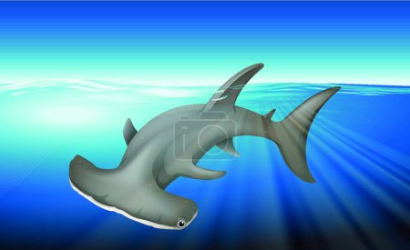 Téléchargez les illustrations : Illustration du requin-marteau - en licence libre de droit
