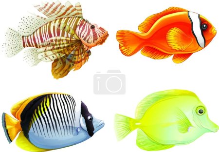 Illustration for Illustration of the Four fishes - Royalty Free Image