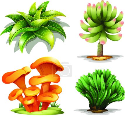 Téléchargez les illustrations : Illustration des différentes plantes - en licence libre de droit