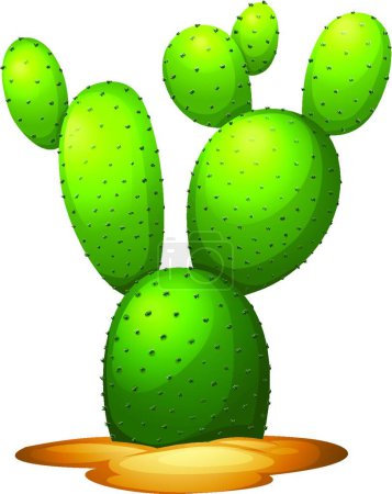 Illustration for Illustration of the Opuntia microdasy - Royalty Free Image