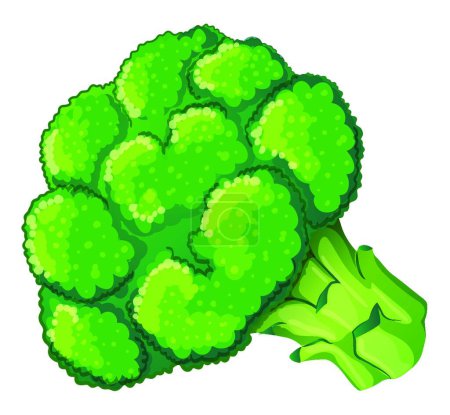 Ilustración de Icono de brócoli, ilustración simple web - Imagen libre de derechos