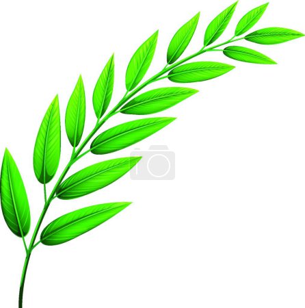 Illustration for Green leaves, graphic vector illustration - Royalty Free Image