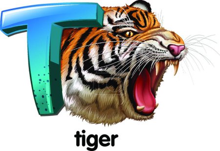 Illustration for Tiger animal, vector illustration design - Royalty Free Image