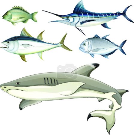 Illustration for Fishes, graphic vector illustration - Royalty Free Image