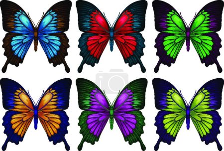 Téléchargez les illustrations : Papillons colorés, illustration vectorielle graphique - en licence libre de droit