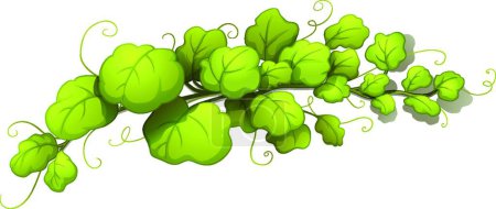 Illustration for Vine leaves vector illustration - Royalty Free Image