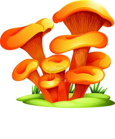 Illustration for Omphalotus Olearius mushrooms vector illustration - Royalty Free Image