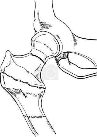 Illustration for A bone on background vector illustration - Royalty Free Image