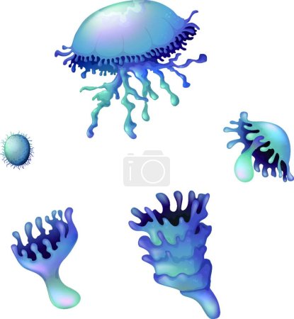Illustration for Jellyfish animals vector illustration - Royalty Free Image
