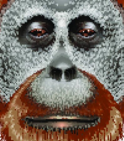 Illustration for An orangutan animal vector illustration - Royalty Free Image