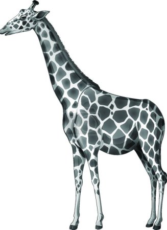 Illustration for A giraffe, simple vector illustration - Royalty Free Image