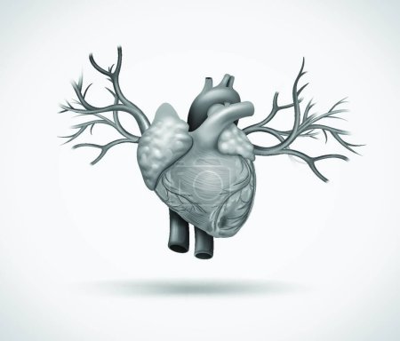 Illustration for Human heart, web simple icon illustration - Royalty Free Image