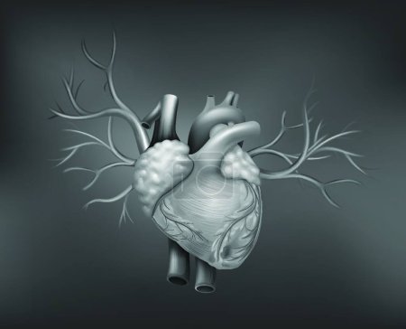 Illustration for A human heart, web simple icon illustration - Royalty Free Image
